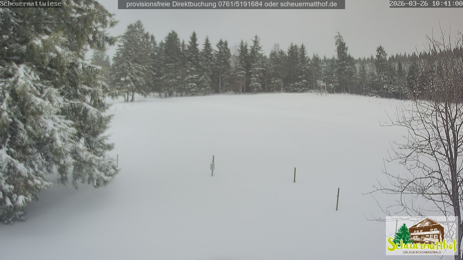 Archiv Foto Webcam Todtnauberg - Scheuermattwiese