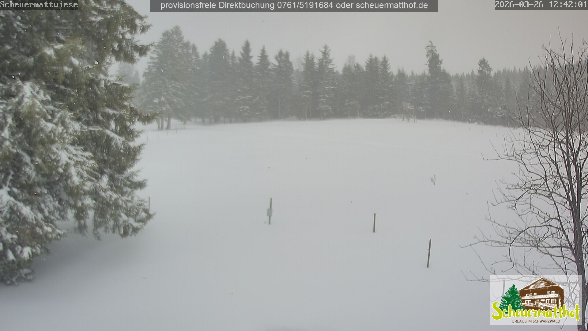 Archiv Foto Webcam Todtnauberg - Scheuermattwiese