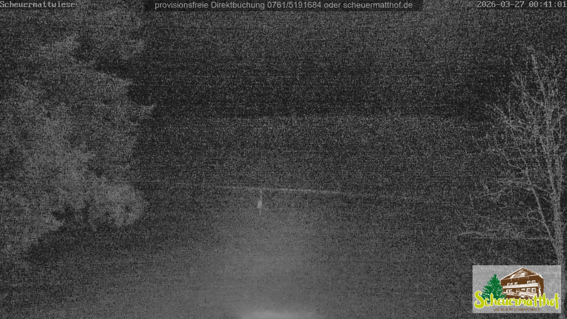 Archived image Webcam Todtnauberg - Scheuermatthof