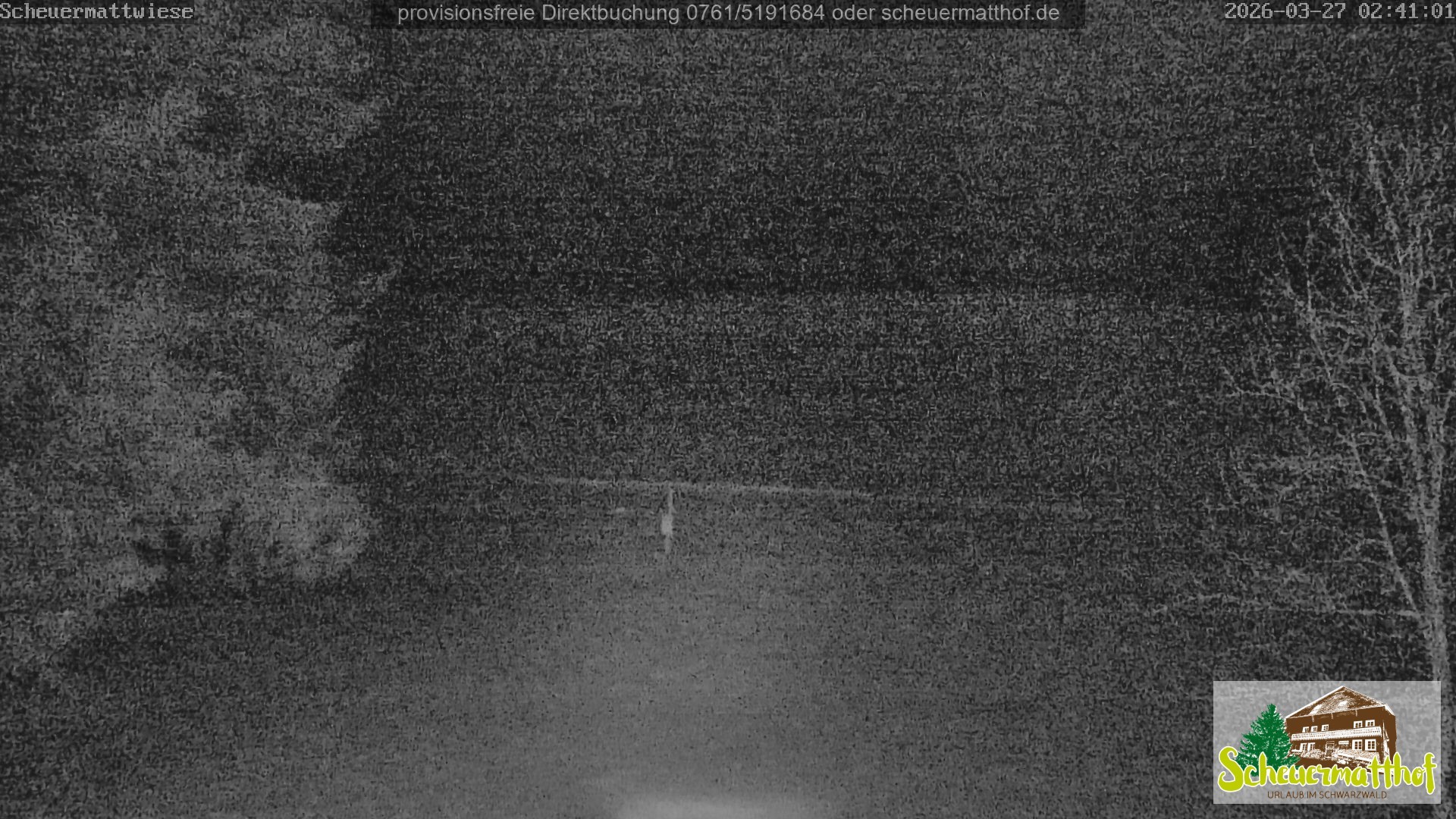 Archived image Webcam Todtnauberg - Scheuermatthof