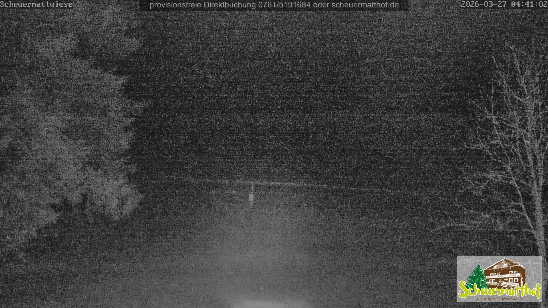 Archived image Webcam Todtnauberg - Scheuermatthof