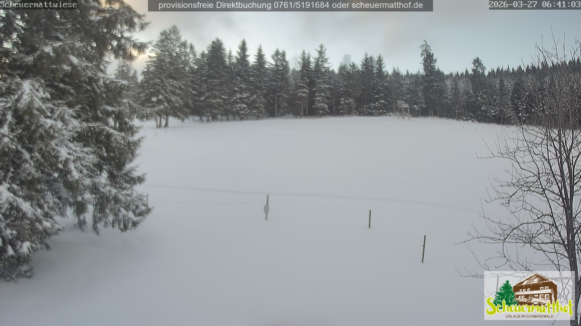 Archiv Foto Webcam Todtnauberg - Scheuermattwiese