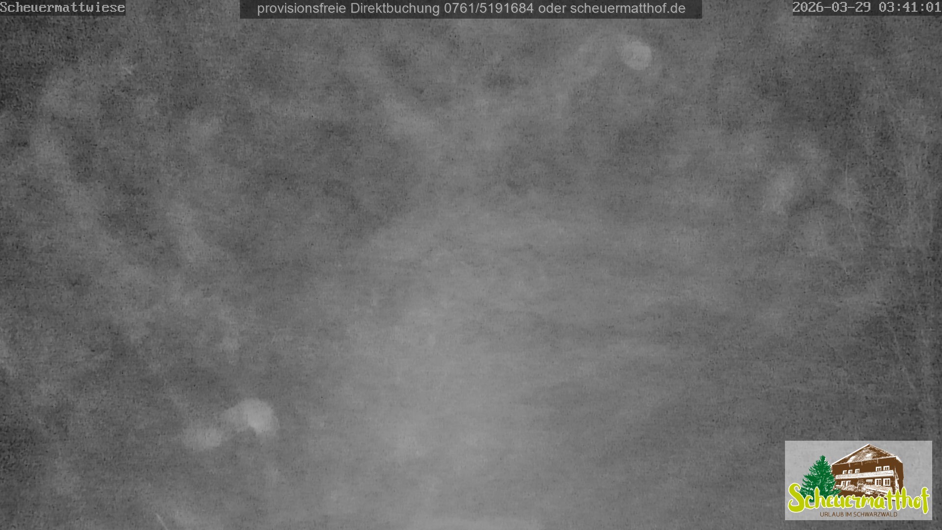 Archiv Foto Webcam Todtnauberg - Scheuermattwiese