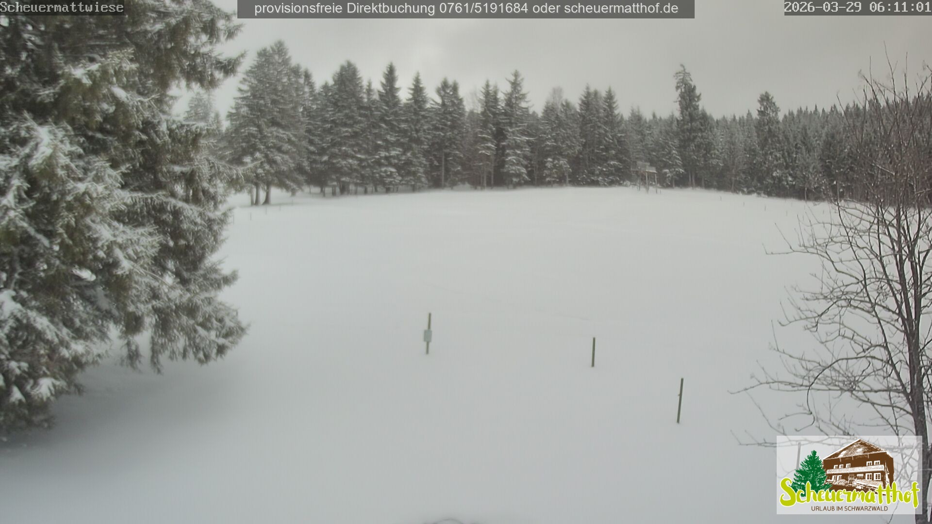 Archiv Foto Webcam Todtnauberg - Scheuermattwiese