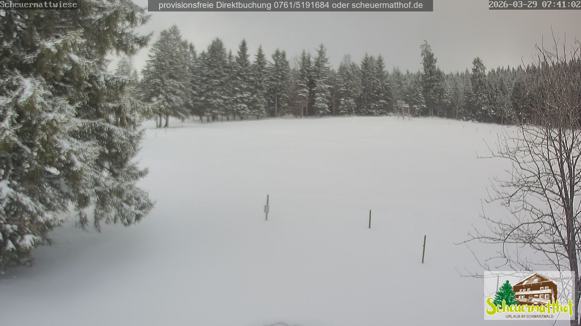 Archiv Foto Webcam Todtnauberg - Scheuermattwiese