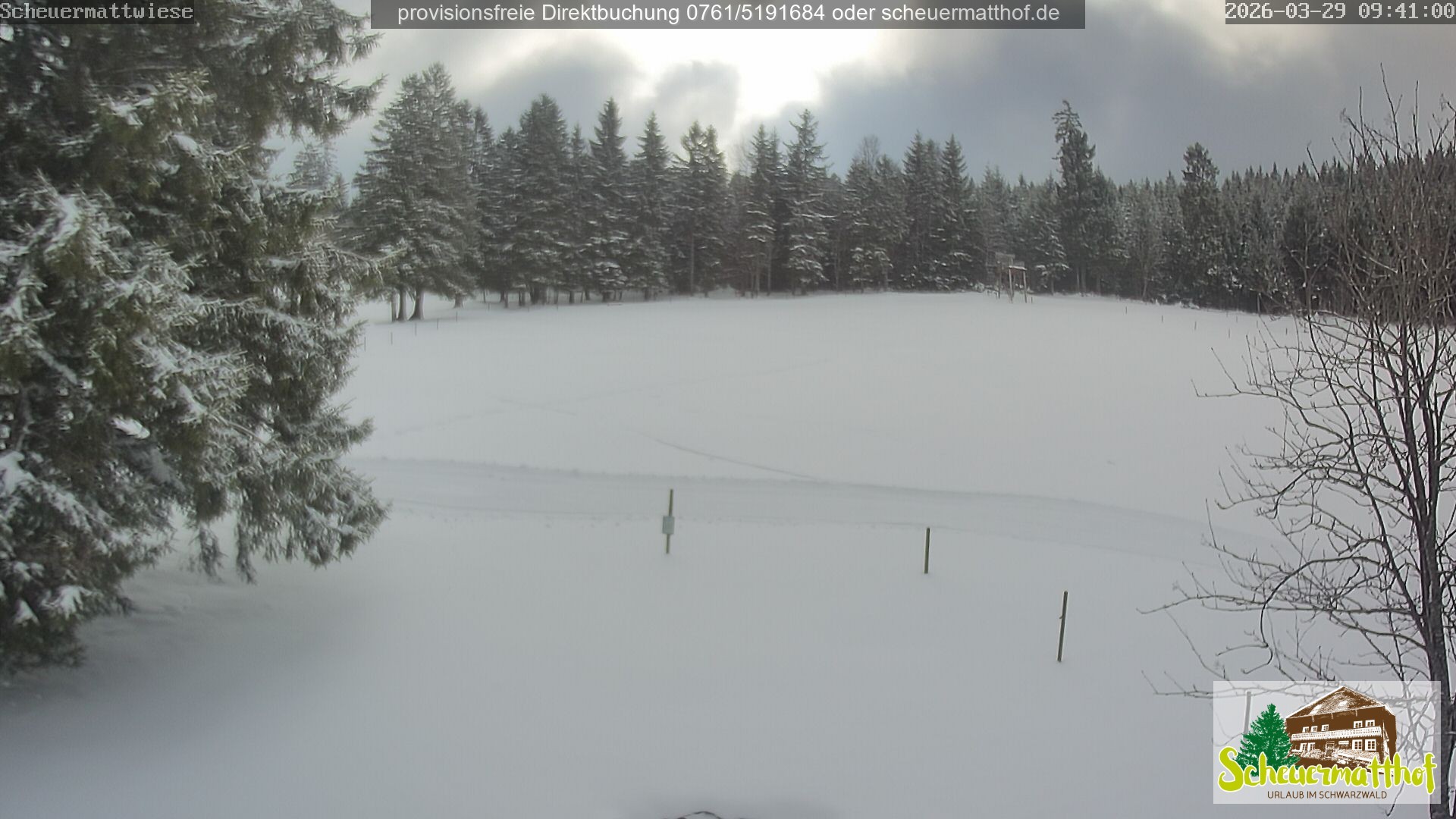 Archiv Foto Webcam Todtnauberg - Scheuermattwiese