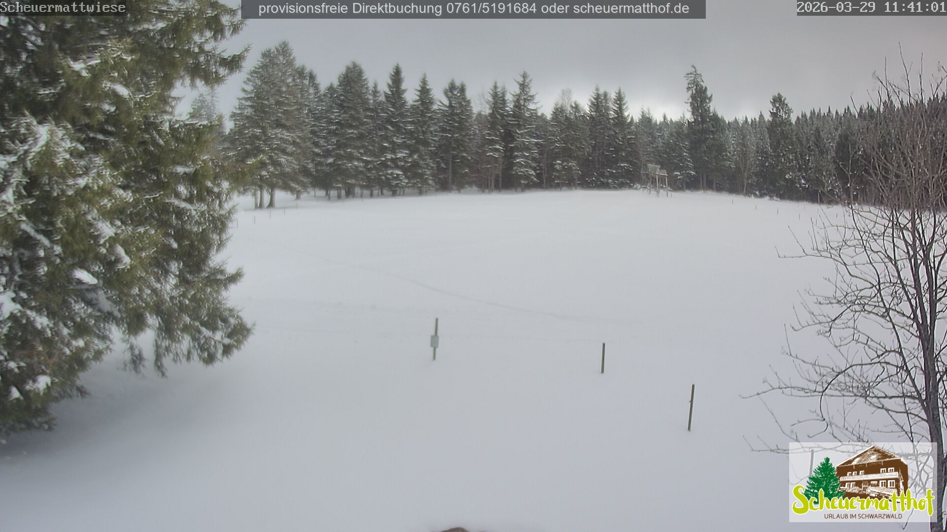 Archiv Foto Webcam Todtnauberg - Scheuermattwiese