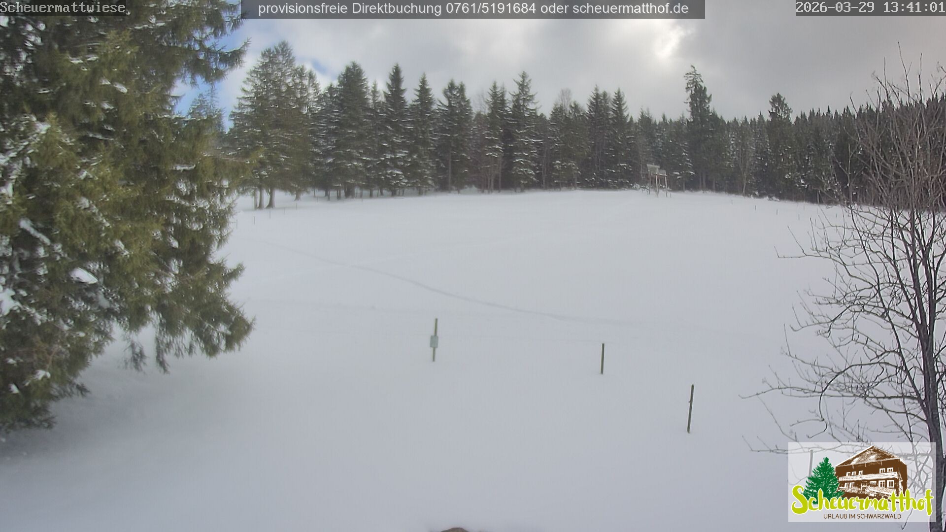 Archiv Foto Webcam Todtnauberg - Scheuermattwiese