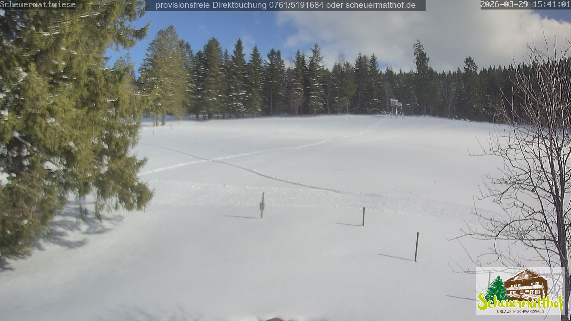 Archiv Foto Webcam Todtnauberg - Scheuermattwiese