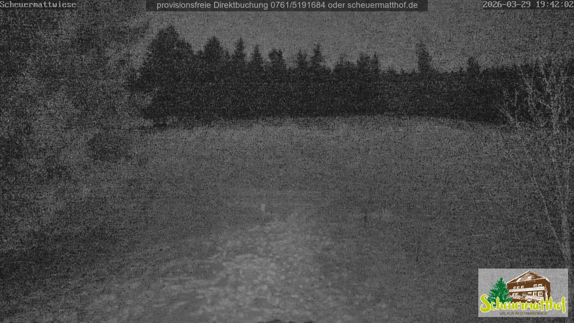 Archiv Foto Webcam Todtnauberg - Scheuermattwiese