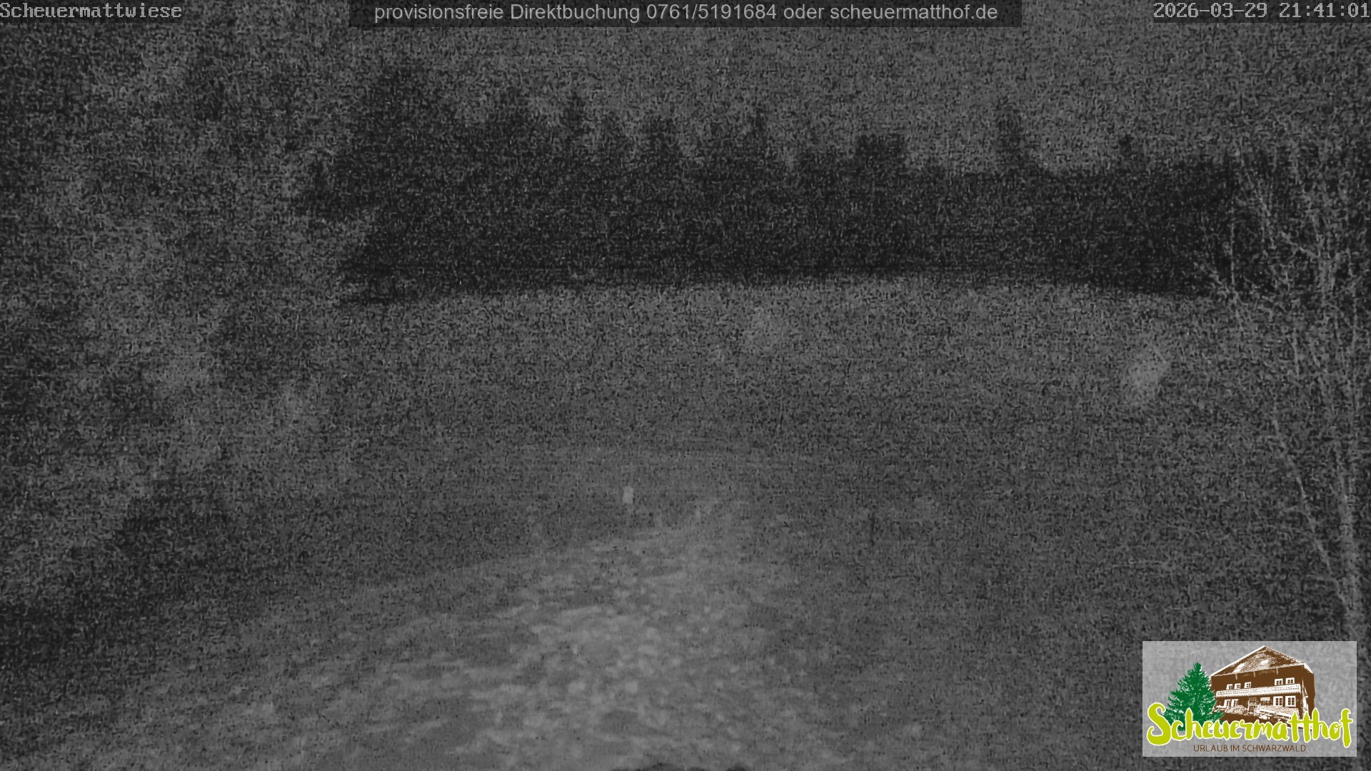 Archiv Foto Webcam Todtnauberg - Scheuermattwiese