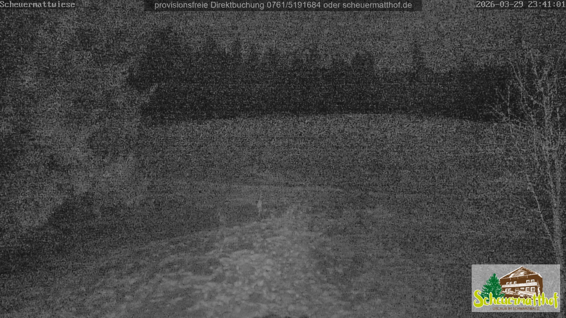 Archiv Foto Webcam Todtnauberg - Scheuermattwiese