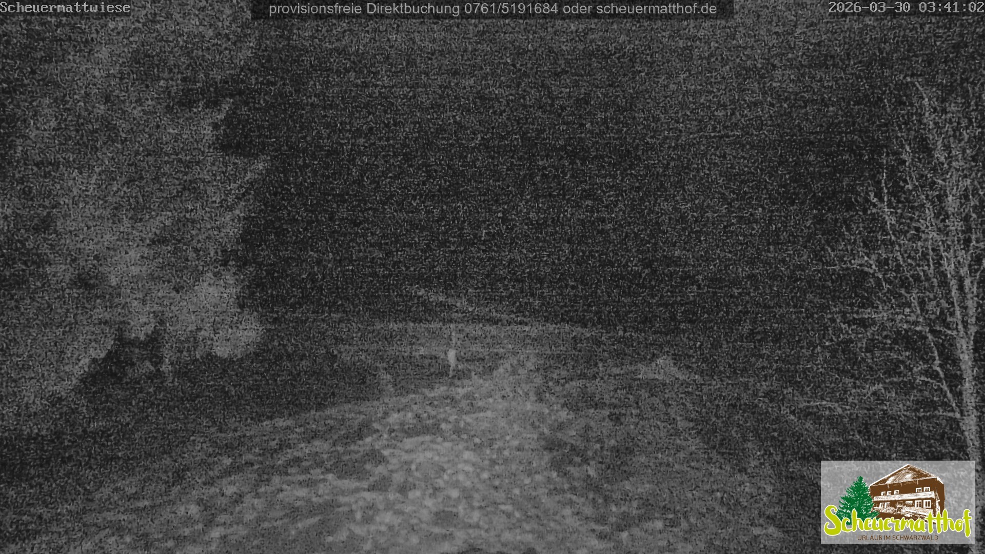 Archiv Foto Webcam Todtnauberg - Scheuermattwiese