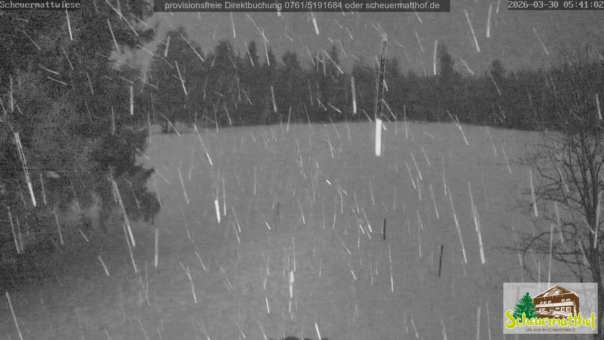 Archiv Foto Webcam Todtnauberg - Scheuermattwiese