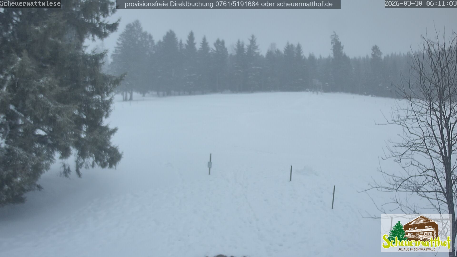 Archiv Foto Webcam Todtnauberg - Scheuermattwiese