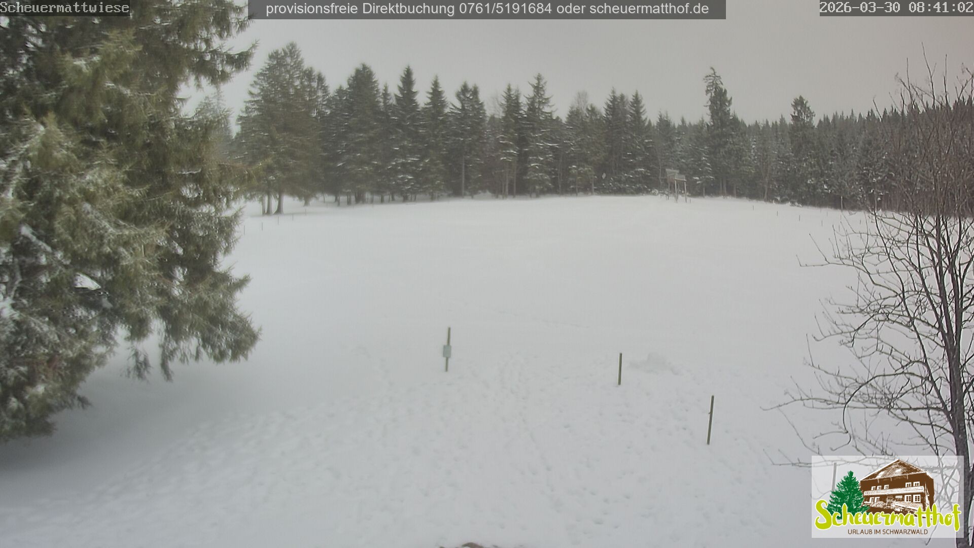 Archiv Foto Webcam Todtnauberg - Scheuermattwiese