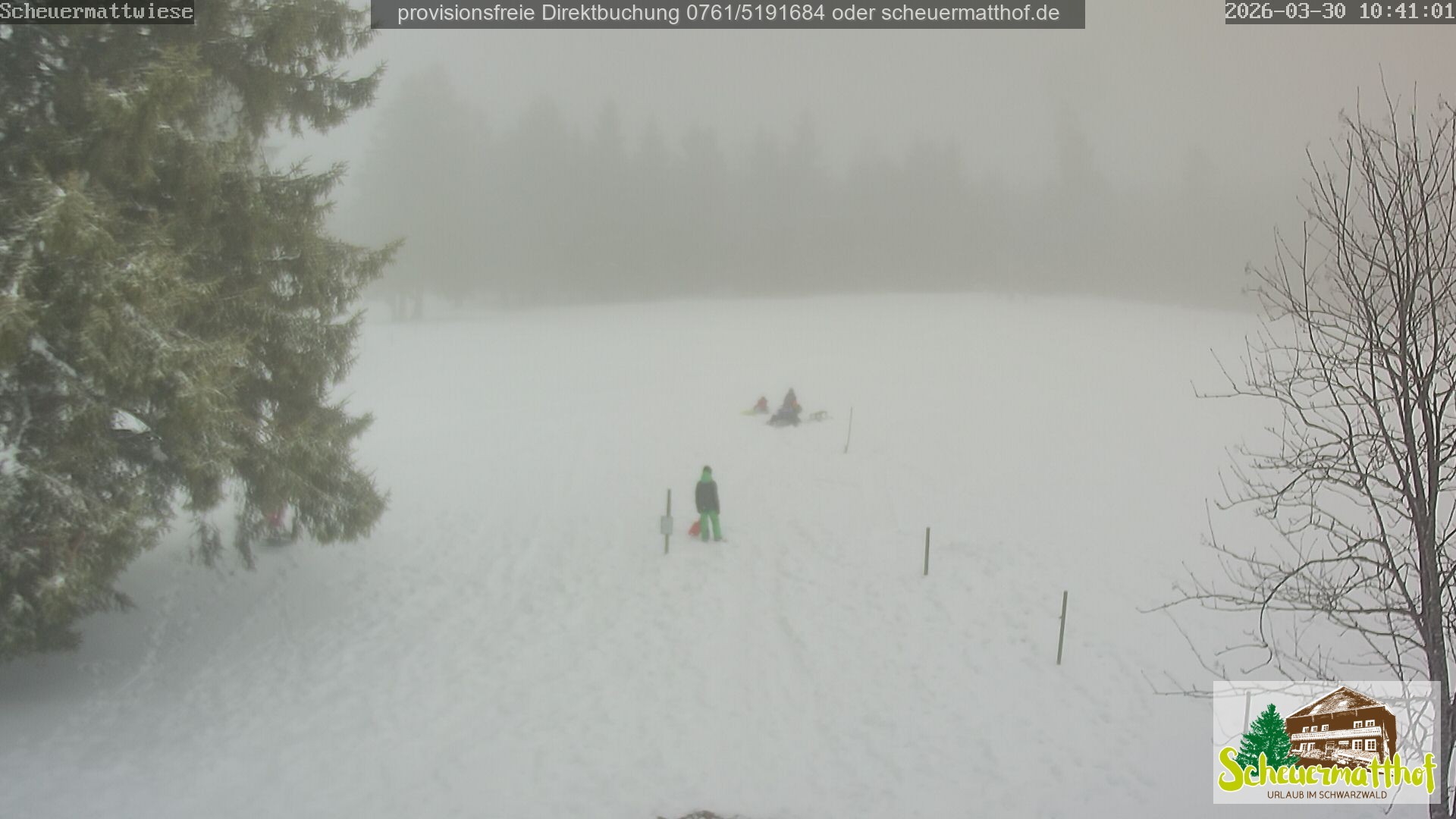 Archiv Foto Webcam Todtnauberg - Scheuermattwiese