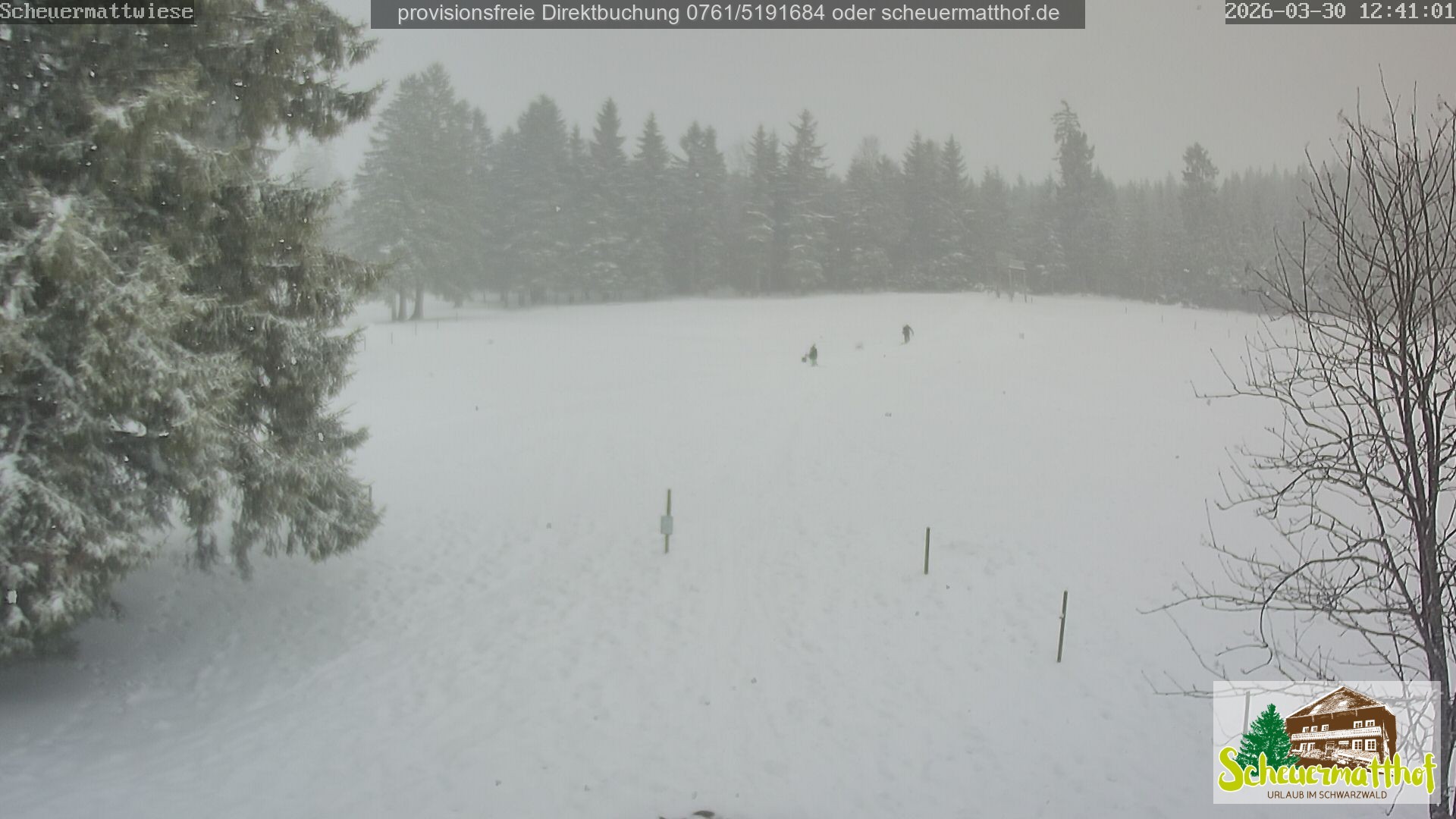 Archiv Foto Webcam Todtnauberg - Scheuermattwiese