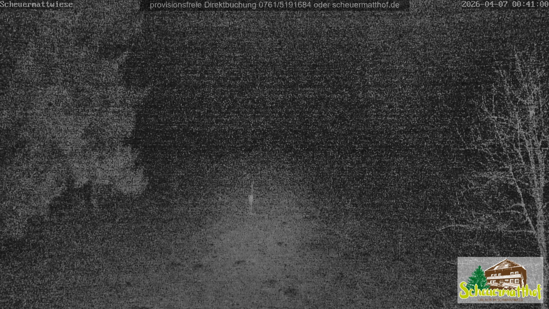 Archiv Foto Webcam Todtnauberg - Scheuermattwiese