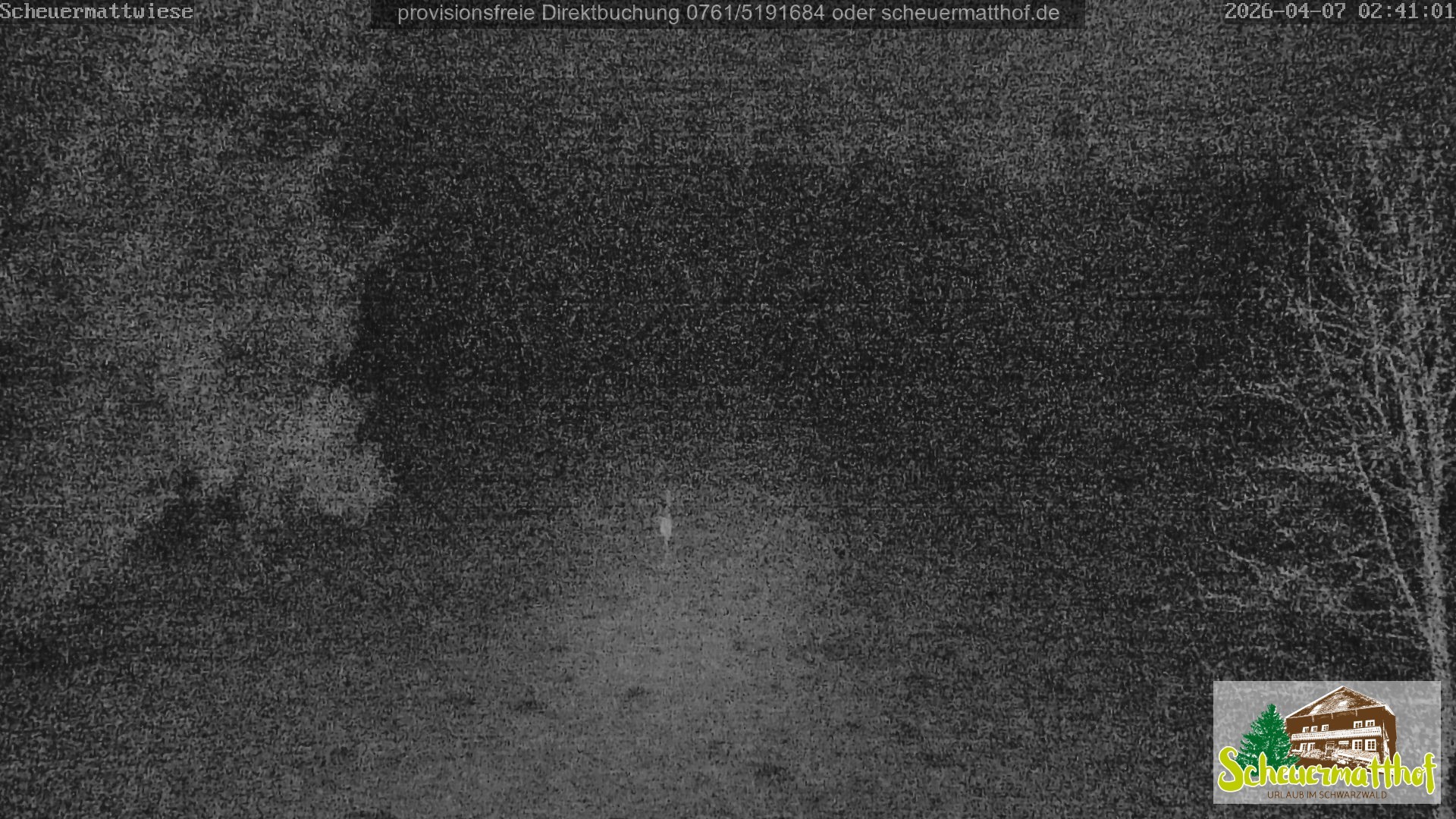 Archiv Foto Webcam Todtnauberg - Scheuermattwiese