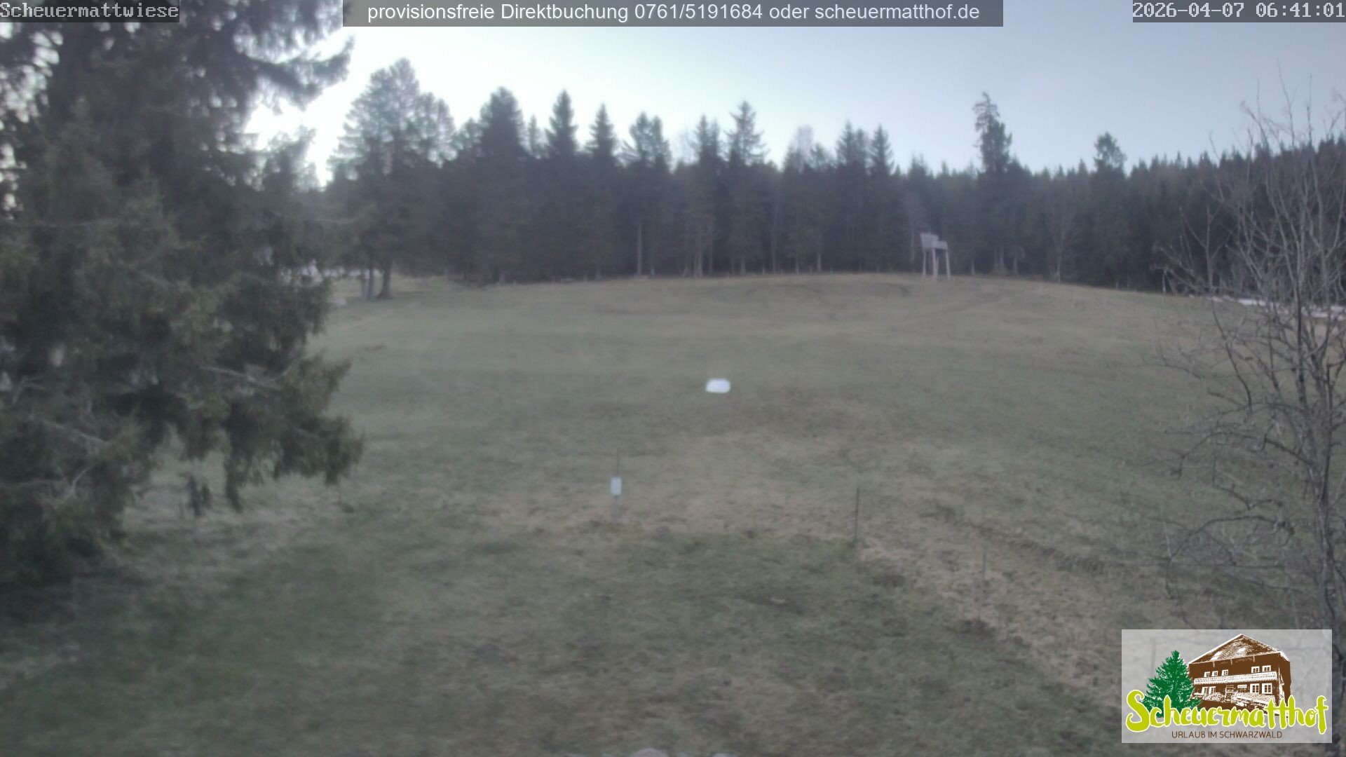 Archiv Foto Webcam Todtnauberg - Scheuermattwiese