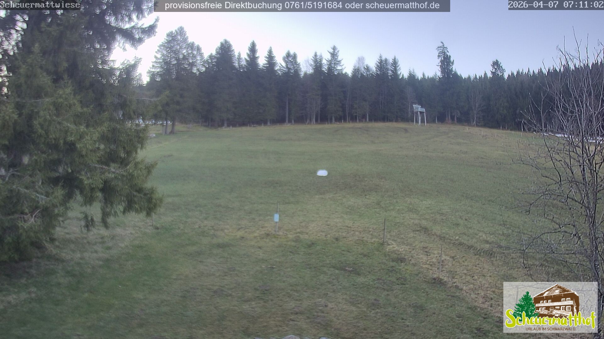 Archiv Foto Webcam Todtnauberg - Scheuermattwiese