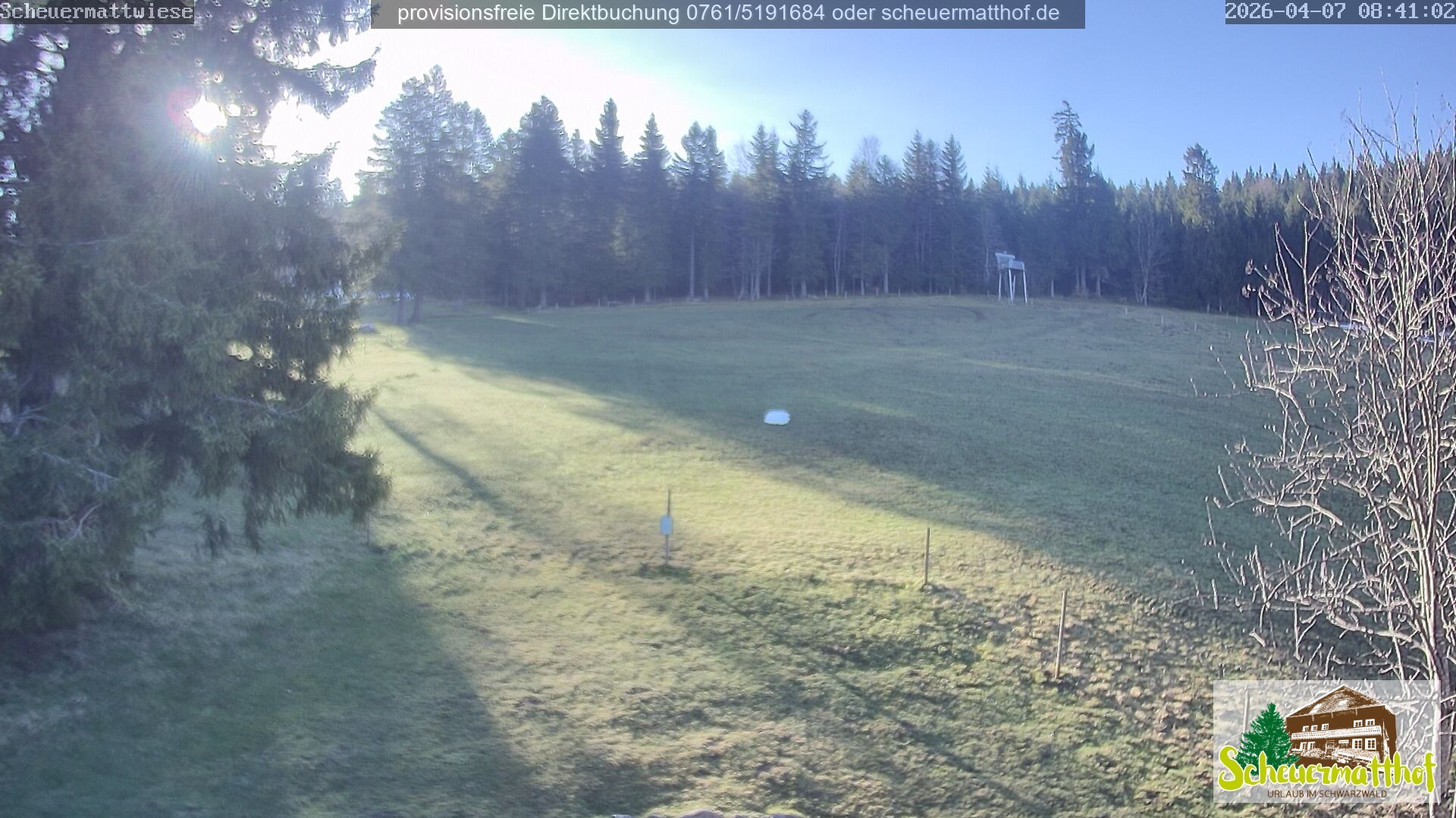 Archiv Foto Webcam Todtnauberg - Scheuermattwiese