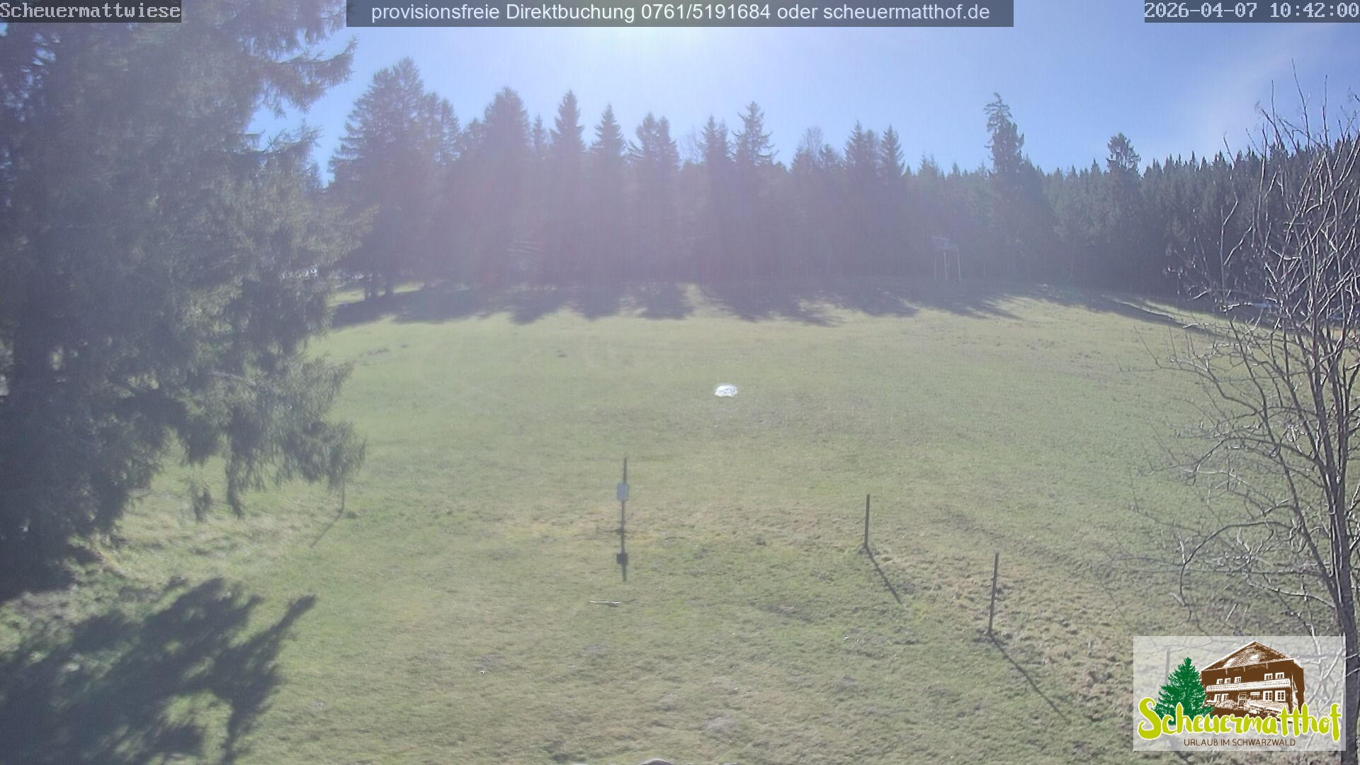 Archiv Foto Webcam Todtnauberg - Scheuermattwiese