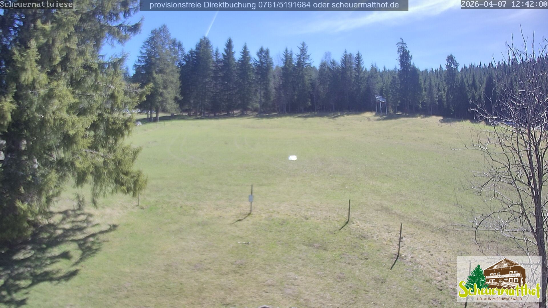 Archiv Foto Webcam Todtnauberg - Scheuermattwiese