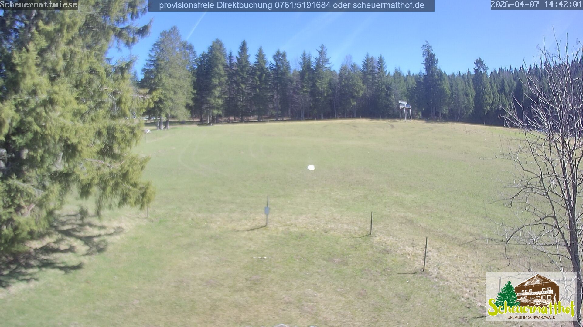 Archiv Foto Webcam Todtnauberg - Scheuermattwiese