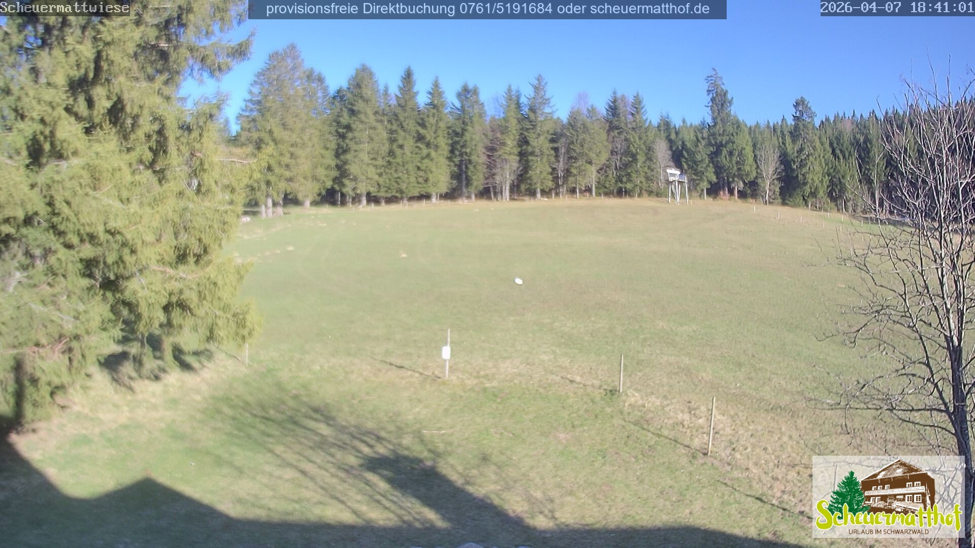 Archiv Foto Webcam Todtnauberg - Scheuermattwiese