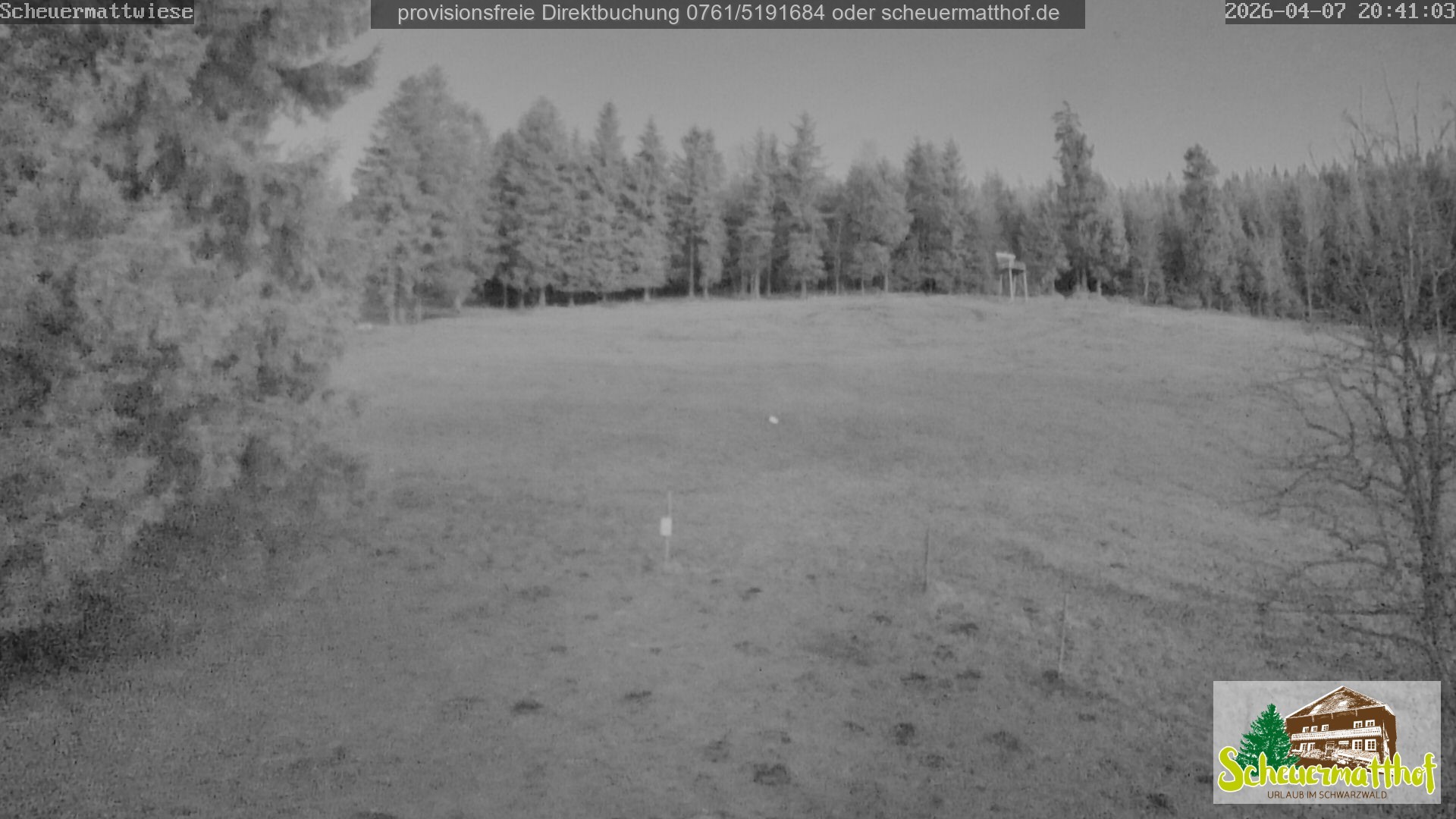 Archiv Foto Webcam Todtnauberg - Scheuermattwiese