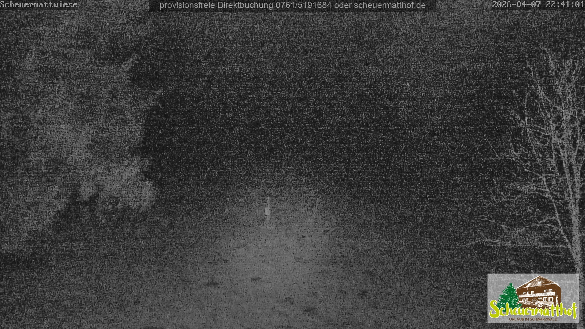 Archiv Foto Webcam Todtnauberg - Scheuermattwiese