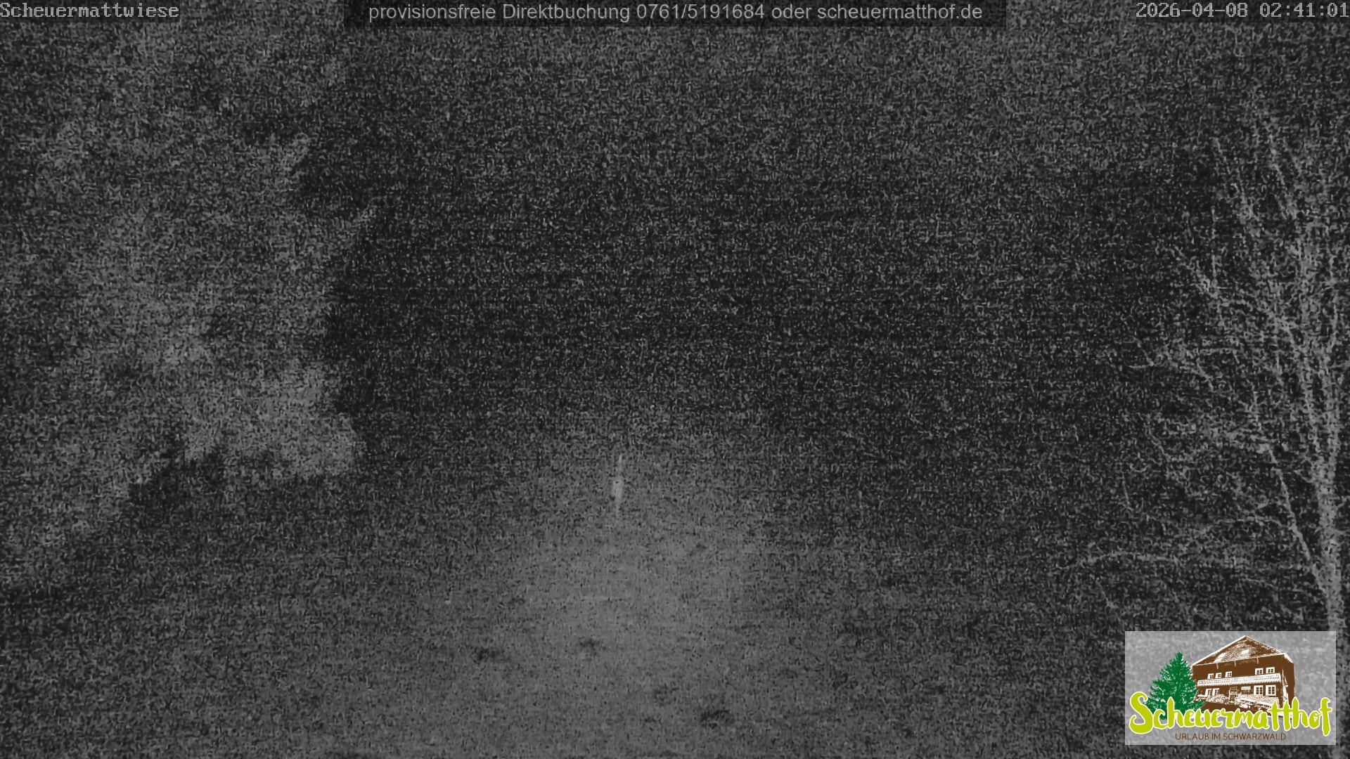 Archiv Foto Webcam Todtnauberg - Scheuermattwiese