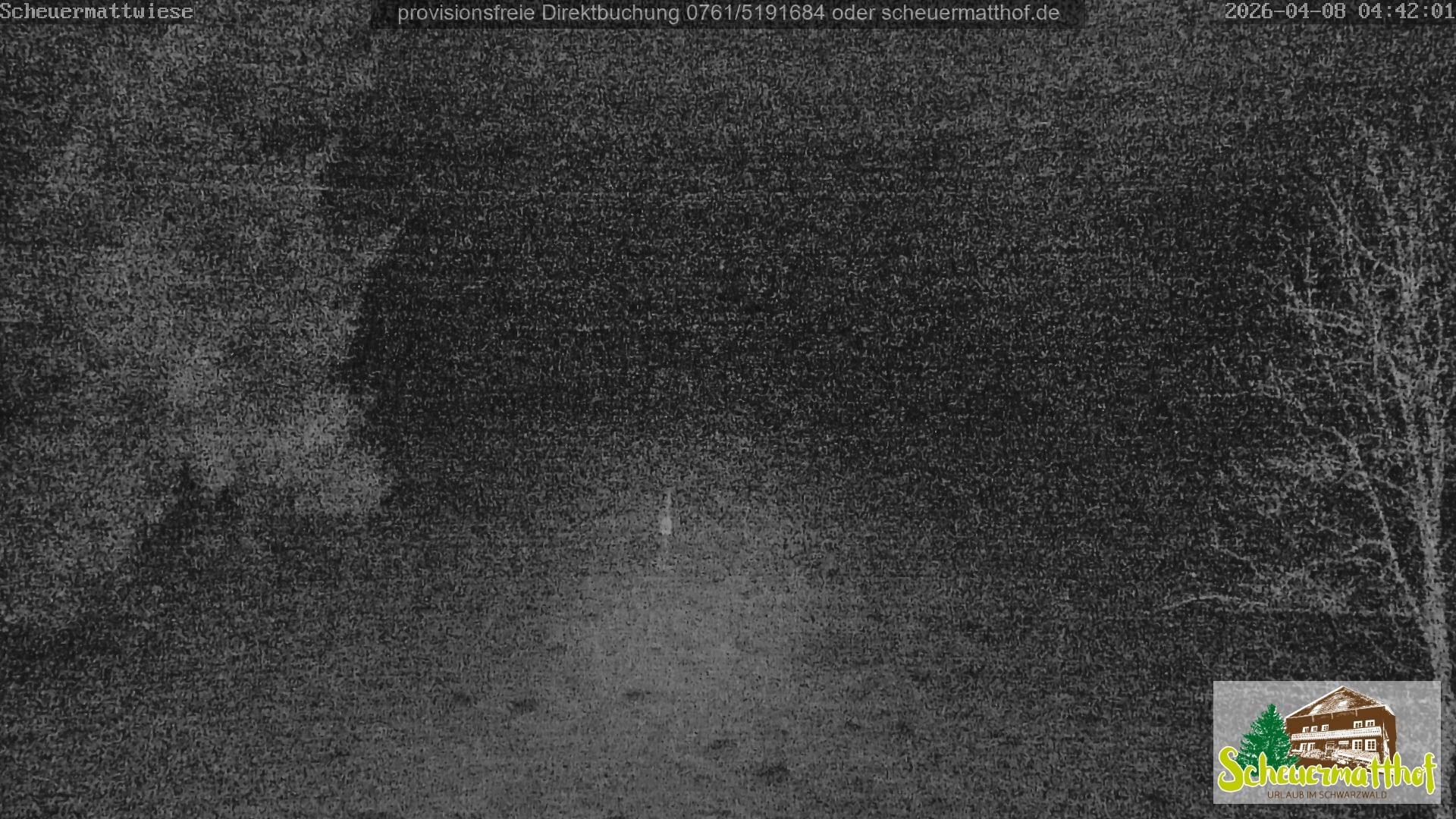 Archiv Foto Webcam Todtnauberg - Scheuermattwiese