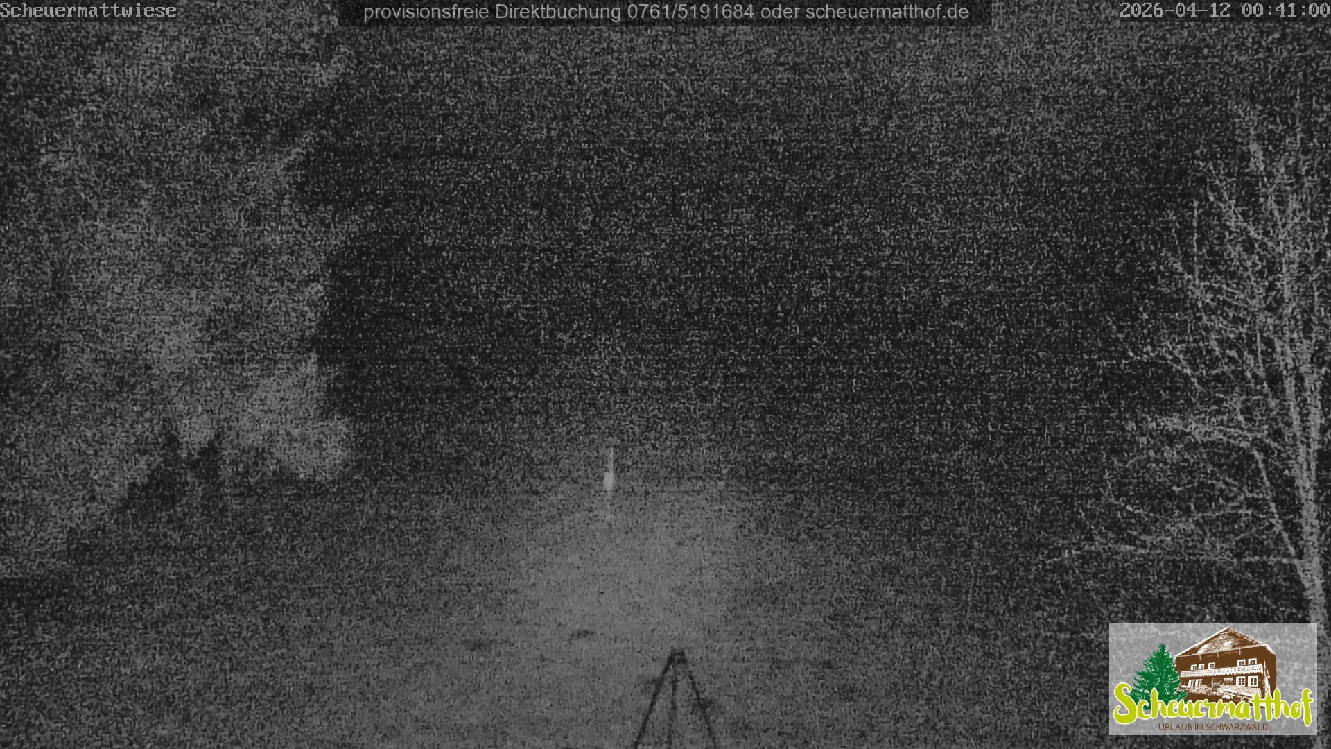 Archiv Foto Webcam Todtnauberg - Scheuermattwiese