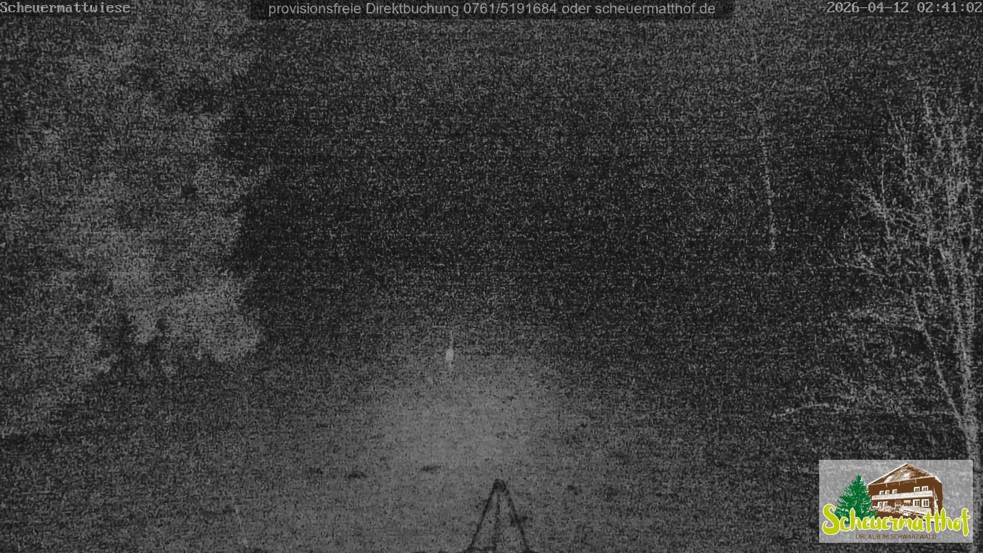 Archiv Foto Webcam Todtnauberg - Scheuermattwiese