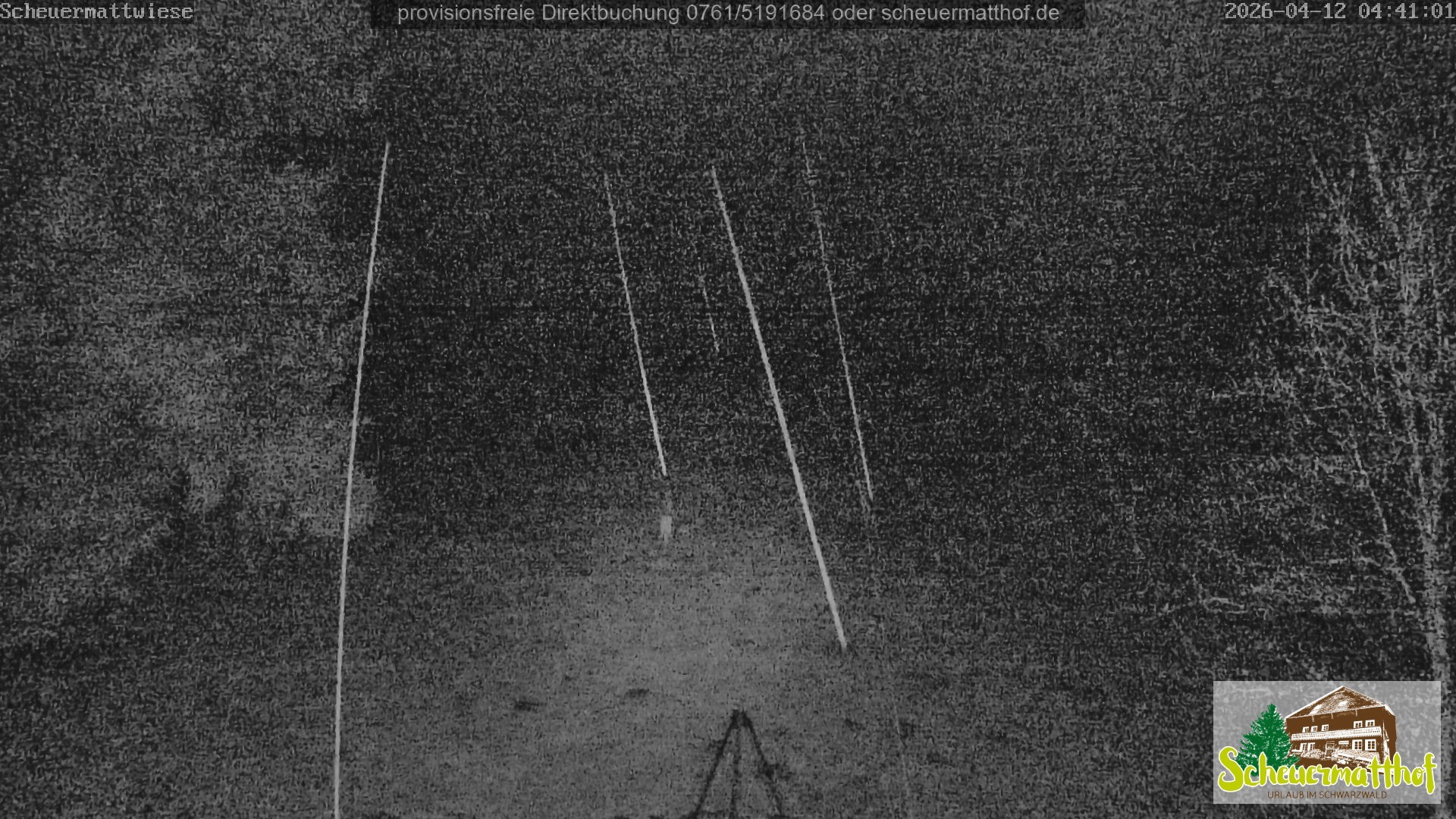 Archiv Foto Webcam Todtnauberg - Scheuermattwiese