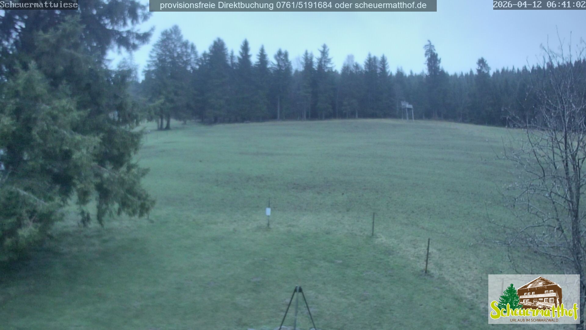 Archiv Foto Webcam Todtnauberg - Scheuermattwiese