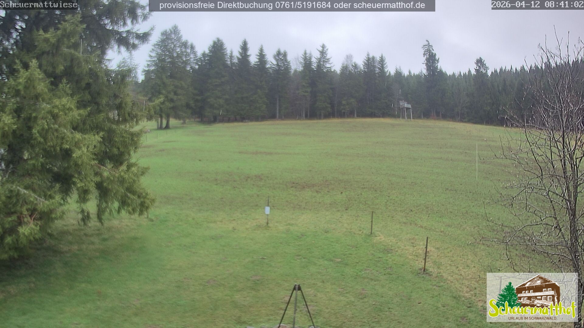 Archiv Foto Webcam Todtnauberg - Scheuermattwiese