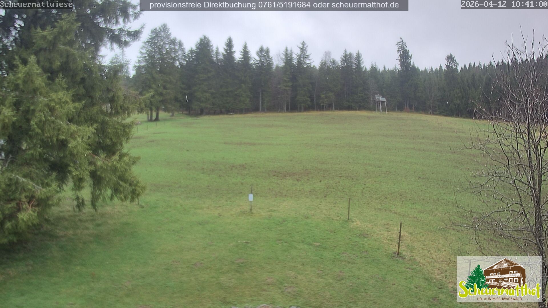 Archiv Foto Webcam Todtnauberg - Scheuermattwiese