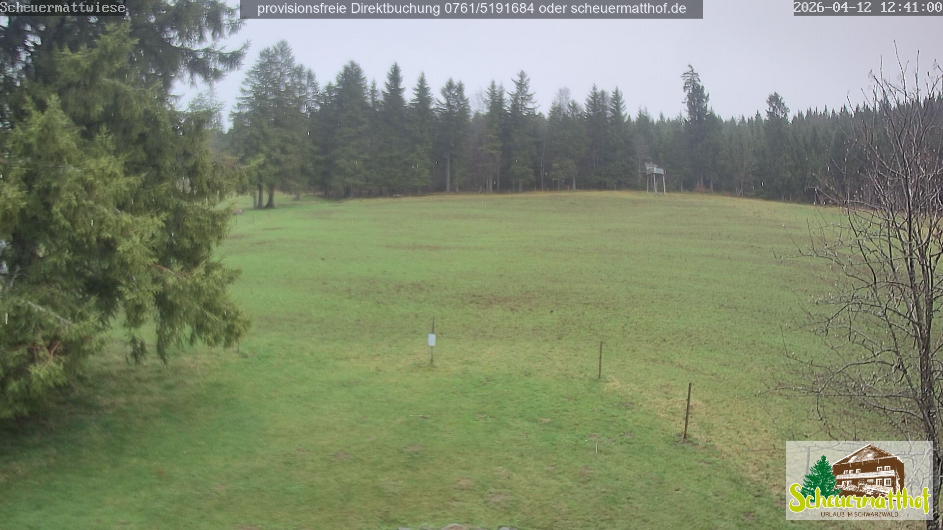 Archiv Foto Webcam Todtnauberg - Scheuermattwiese