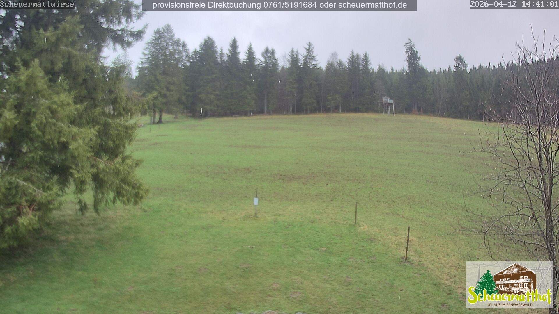 Archiv Foto Webcam Todtnauberg - Scheuermattwiese