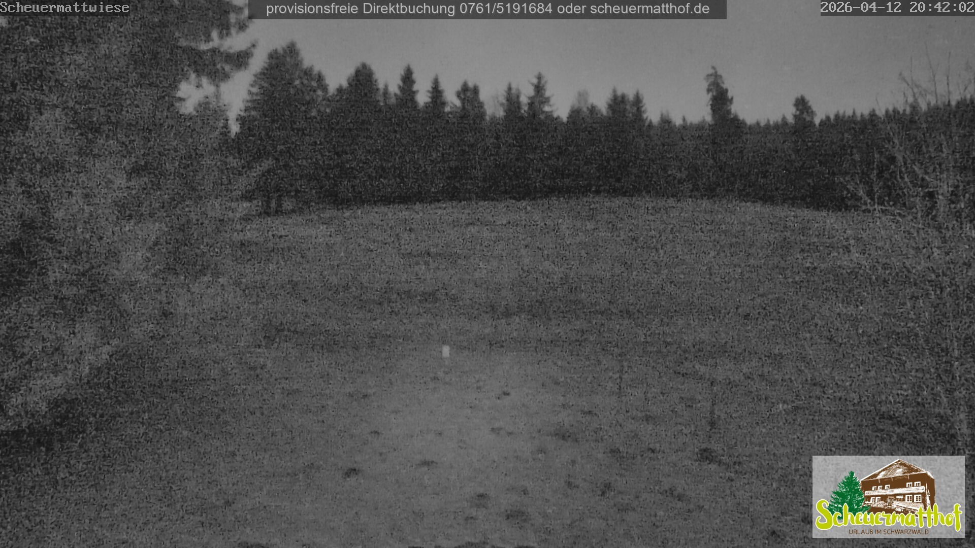 Archiv Foto Webcam Todtnauberg - Scheuermattwiese