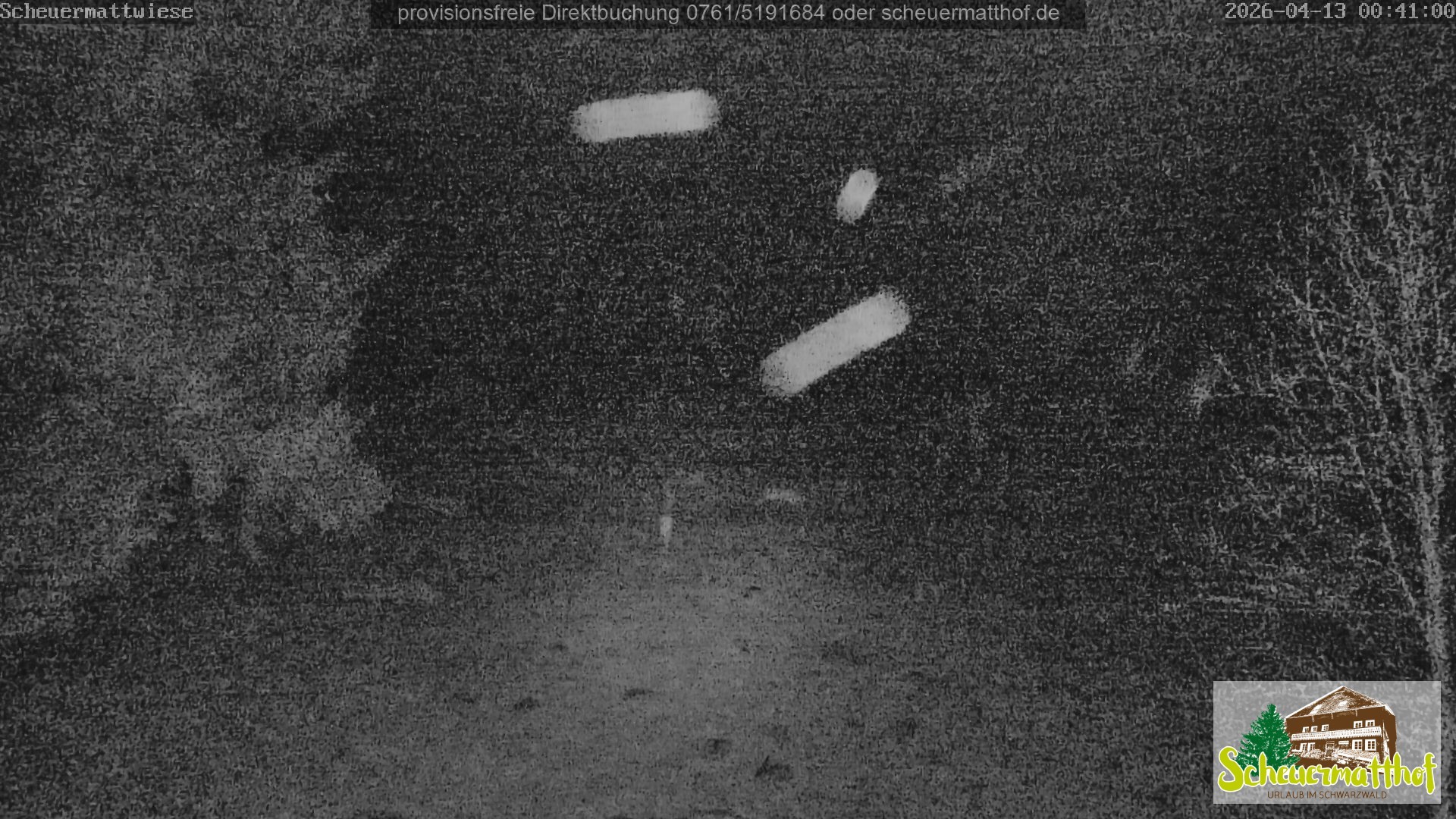 Archived image Webcam Todtnauberg - Scheuermatthof