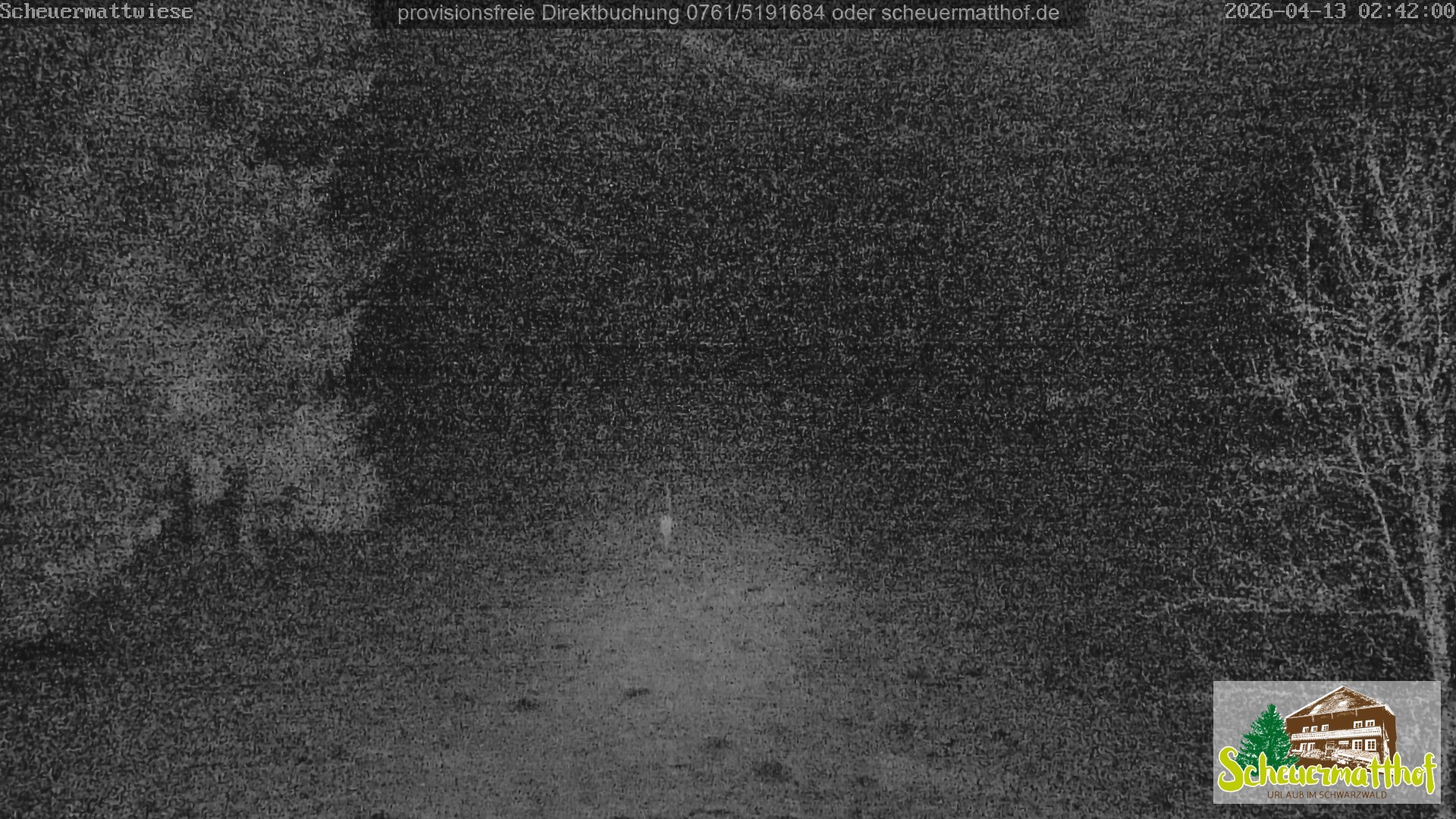 Archiv Foto Webcam Todtnauberg - Scheuermattwiese