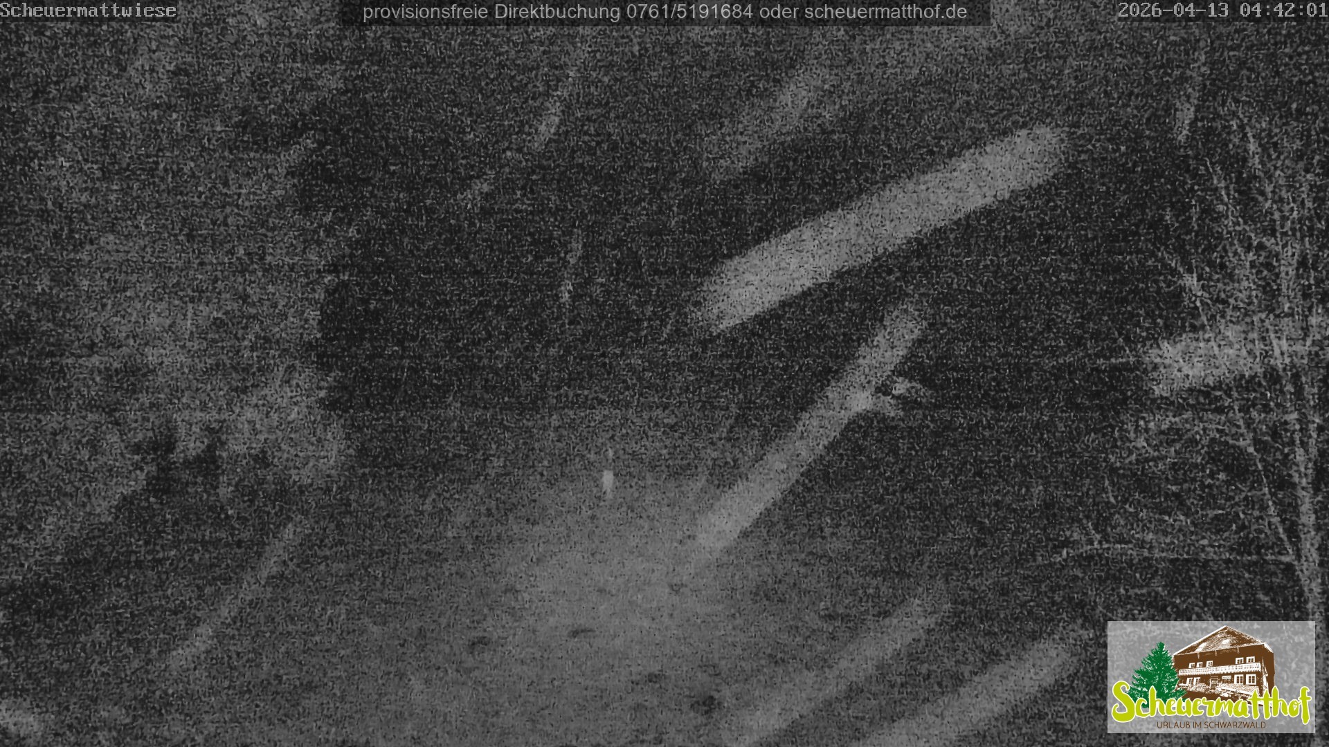 Archived image Webcam Todtnauberg - Scheuermatthof