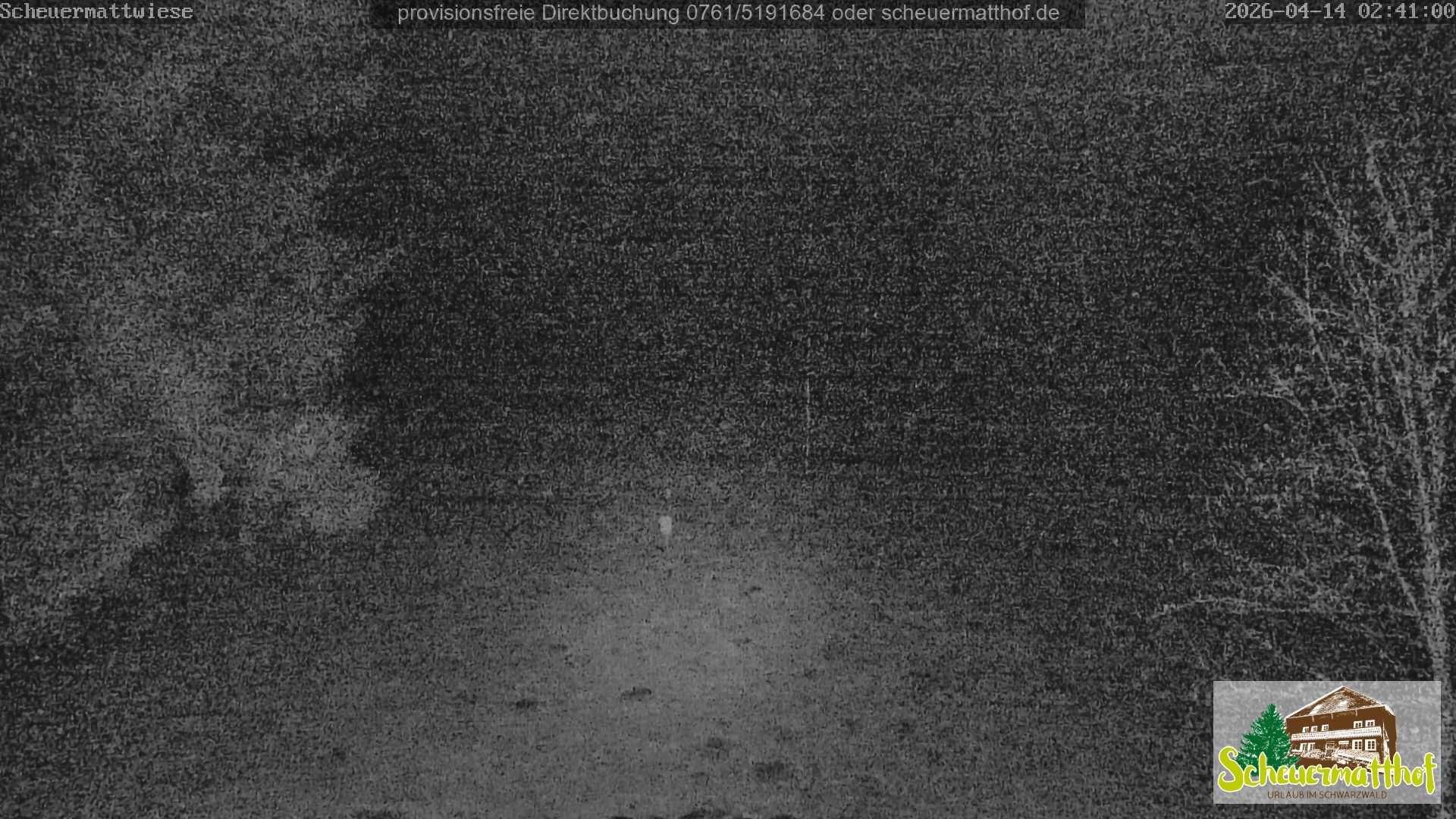 Archiv Foto Webcam Todtnauberg - Scheuermattwiese