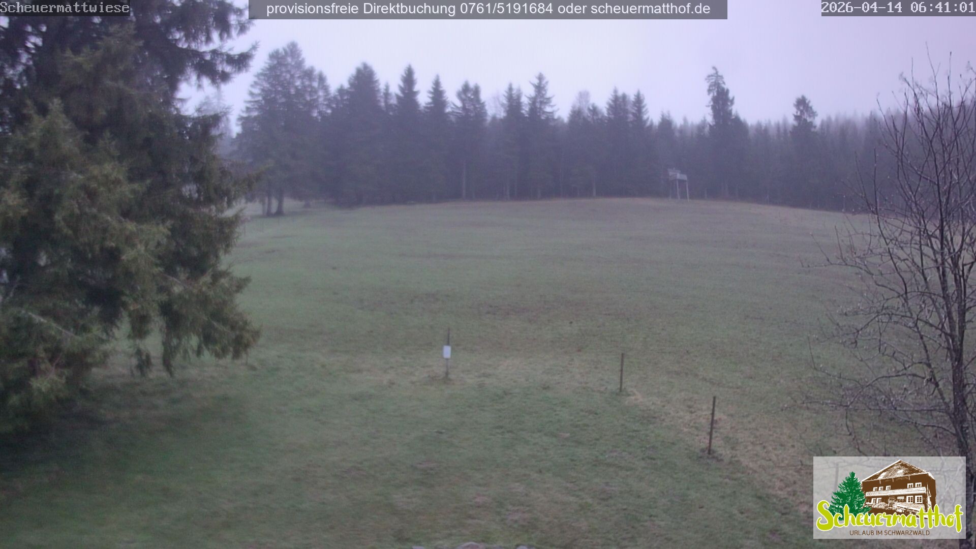 Archiv Foto Webcam Todtnauberg - Scheuermattwiese