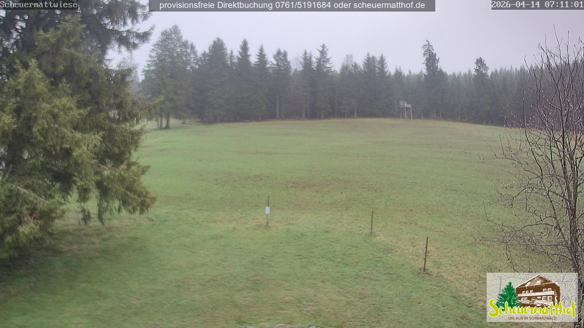 Archiv Foto Webcam Todtnauberg - Scheuermattwiese